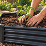 Hands plant a seedling in soil inside a black corrugated metal raised bed.